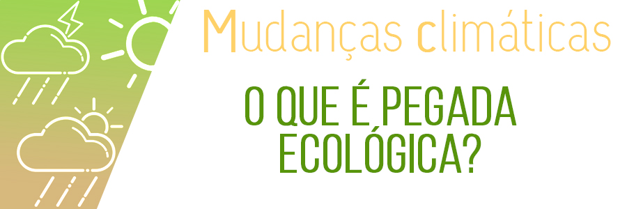 Imagem com fundo branco e a frase 